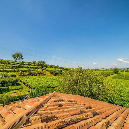 Agriturismo Corte Albarel Castelnuovo del Garda Dış mekan fotoğraf