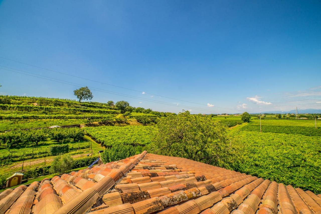 Agriturismo Corte Albarel Castelnuovo del Garda Dış mekan fotoğraf