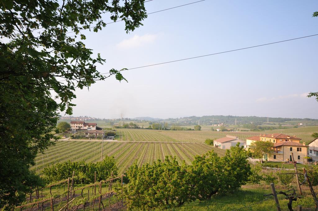 Agriturismo Corte Albarel Castelnuovo del Garda Dış mekan fotoğraf