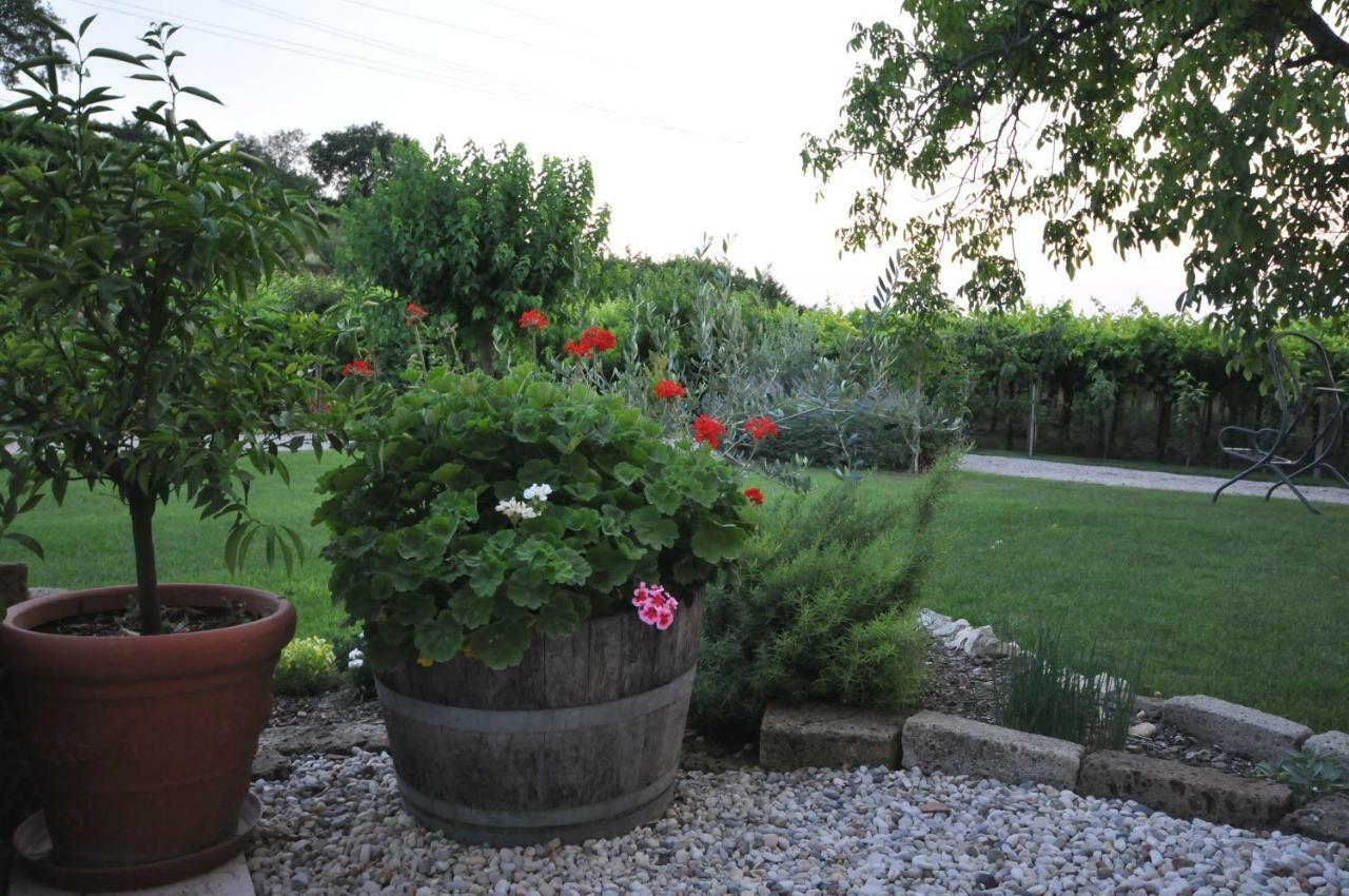 Agriturismo Corte Albarel Castelnuovo del Garda Dış mekan fotoğraf